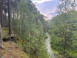 Вечером уже возвращаюсь в Москву.
Очень... image preview