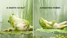 По итогам подкаста с Даниилом (про то, как... image preview