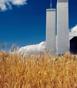 Женщина, которая сидит перед тобой на свидании... image preview