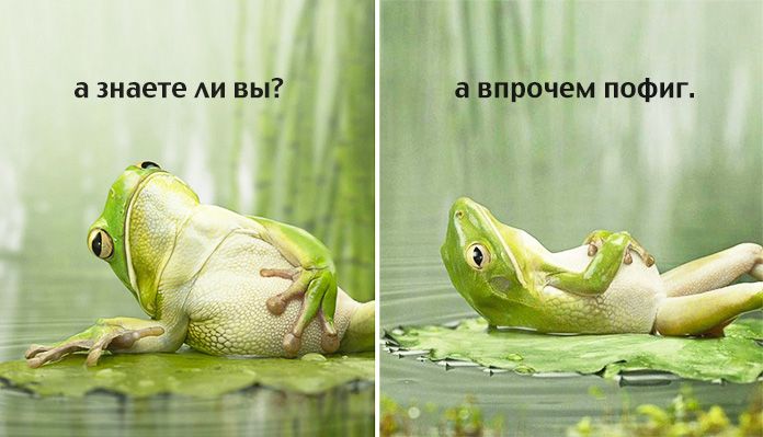 По итогам подкаста с Даниилом как находить женщин image preview