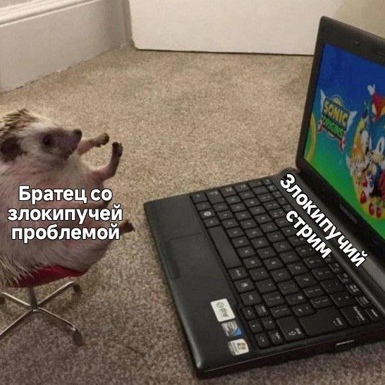 ⚡️Сегодня в 18:30 мск — злокипучий стрим image preview